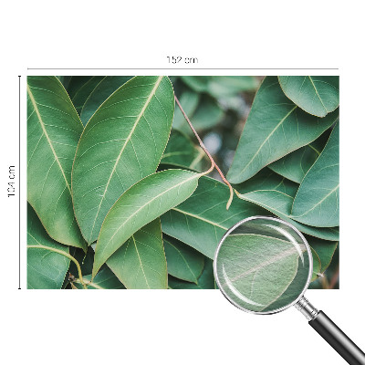 Flis fototapeta Zeleni listi