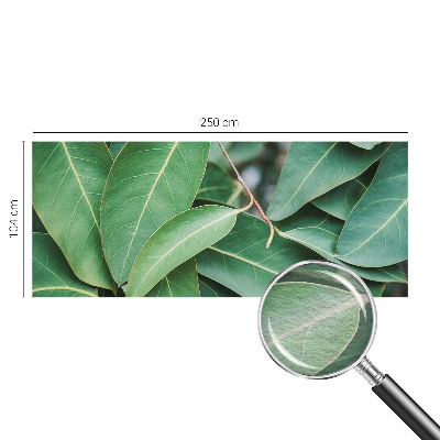 Flis fototapeta Zeleni listi