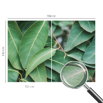 Flis fototapeta Zeleni listi