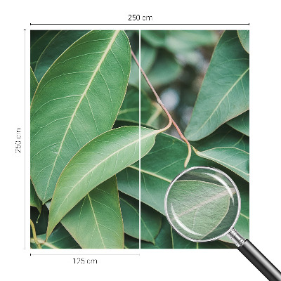 Flis fototapeta Zeleni listi