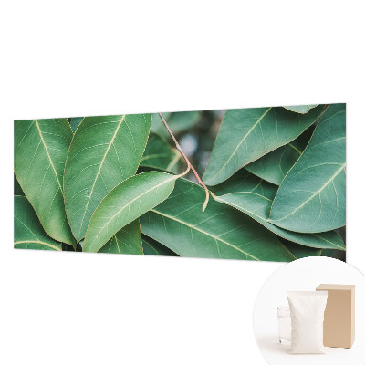 Flis fototapeta Zeleni listi