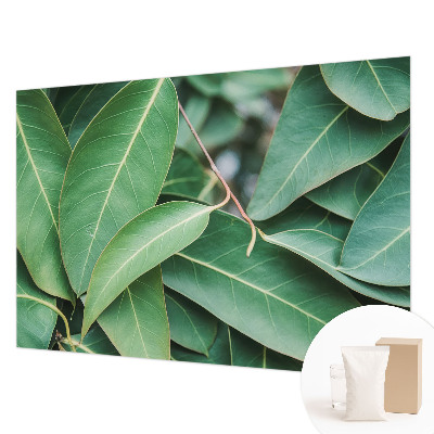 Flis fototapeta Zeleni listi