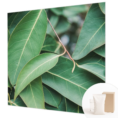 Flis fototapeta Zeleni listi