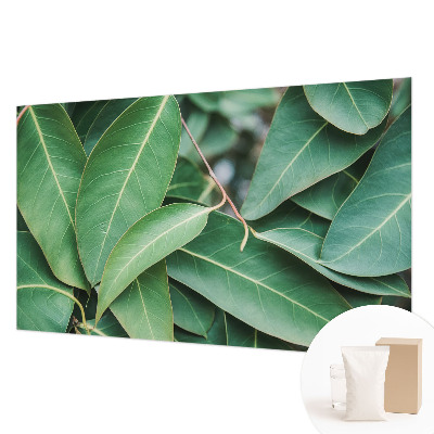 Flis fototapeta Zeleni listi