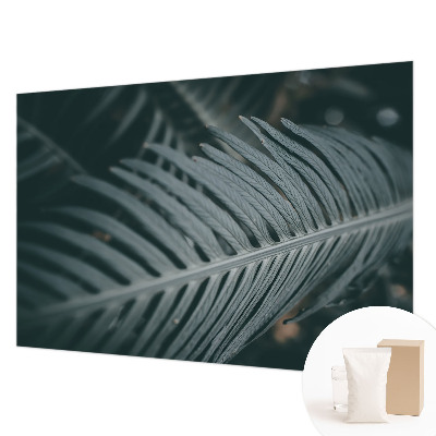 Fototapeta za steno Zeleni list