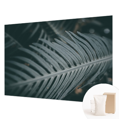 Fototapeta za steno Zeleni list