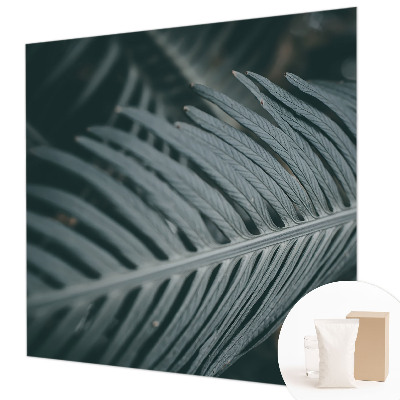 Fototapeta za steno Zeleni list