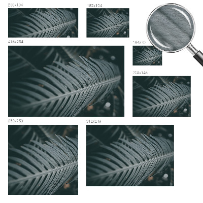 Fototapeta za steno Zeleni list