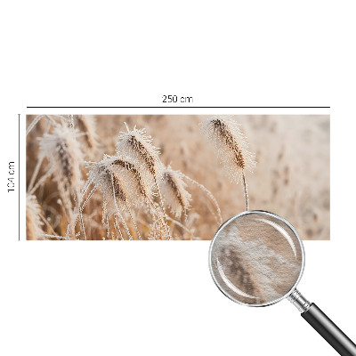 Fototapeta za dnevno sobo Zimska pokrajina