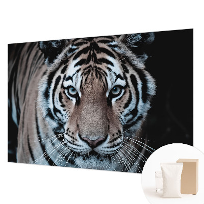 Stenska dekoracija fototapeta Portret tigra