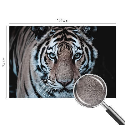 Stenska dekoracija fototapeta Portret tigra