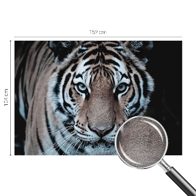 Stenska dekoracija fototapeta Portret tigra