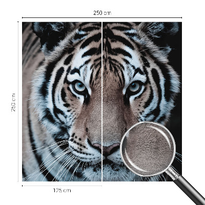 Stenska dekoracija fototapeta Portret tigra