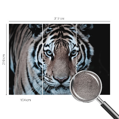 Stenska dekoracija fototapeta Portret tigra