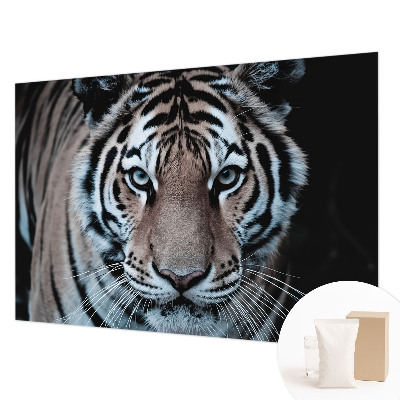 Stenska dekoracija fototapeta Portret tigra