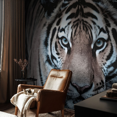Stenska dekoracija fototapeta Portret tigra