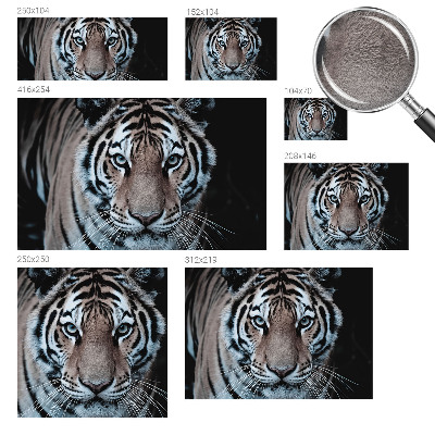 Stenska dekoracija fototapeta Portret tigra