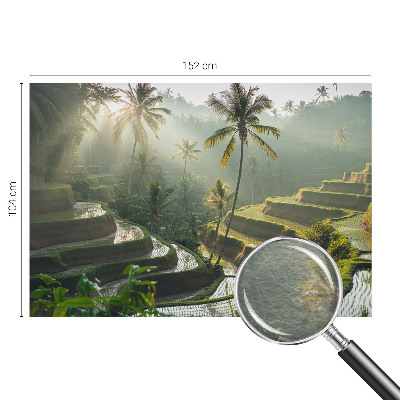 Flis fototapeta Rajske terase