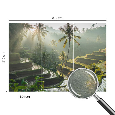 Flis fototapeta z motivom rajskih teras