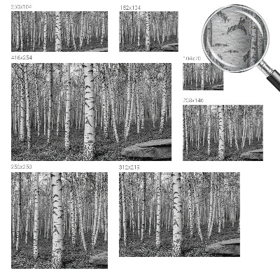 Tiskana fototapeta flis z vzorcem breze v gozdnem motivu