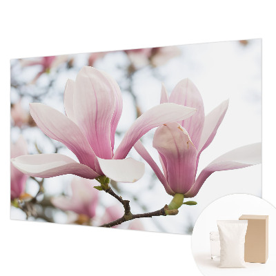 Visokokakovostna fototapeta z motivom cvetov magnolije