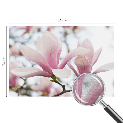 Visokokakovostna fototapeta z motivom cvetov magnolije