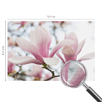 Visokokakovostna fototapeta z motivom cvetov magnolije