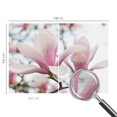 Visokokakovostna fototapeta z motivom cvetov magnolije