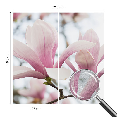 Visokokakovostna fototapeta z motivom cvetov magnolije