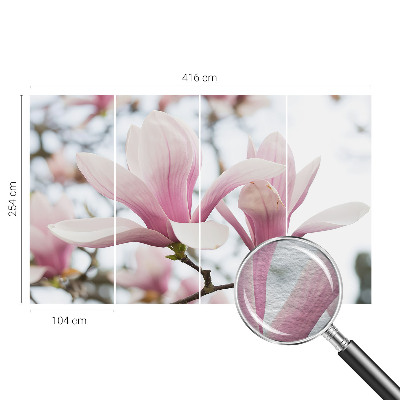 Visokokakovostna fototapeta z motivom cvetov magnolije