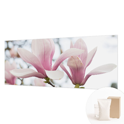 Visokokakovostna fototapeta z motivom cvetov magnolije