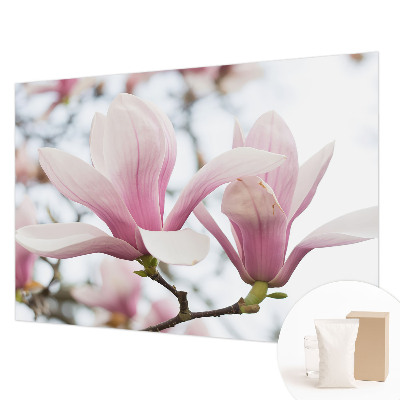 Visokokakovostna fototapeta z motivom cvetov magnolije