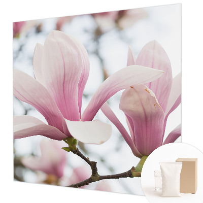 Visokokakovostna fototapeta z motivom cvetov magnolije