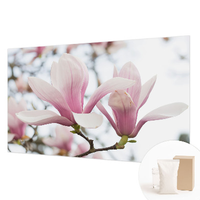 Visokokakovostna fototapeta z motivom cvetov magnolije