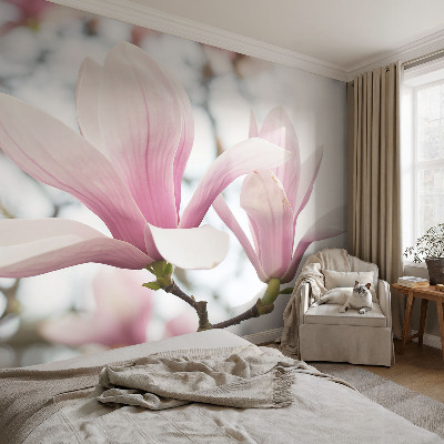 Visokokakovostna fototapeta z motivom cvetov magnolije