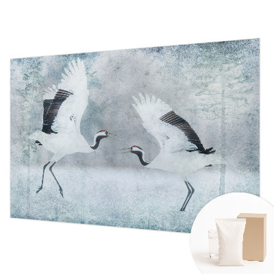 Fototapeta z motivom harmoničnih žerjavov