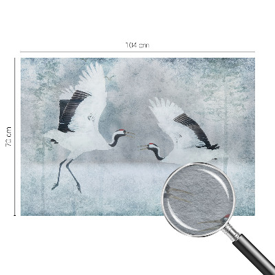 Fototapeta z motivom harmoničnih žerjavov
