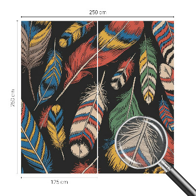 Fototapeta Barvito perje