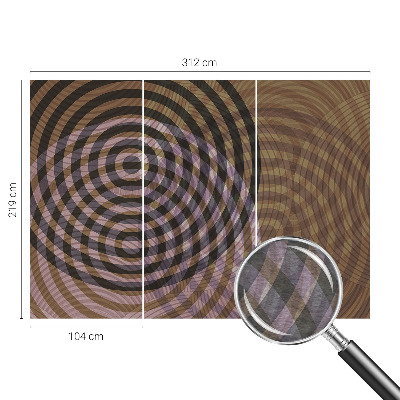 Netkana fototapeta Hipnotizirajoči krogi