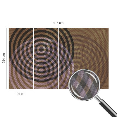 Netkana fototapeta Hipnotizirajoči krogi