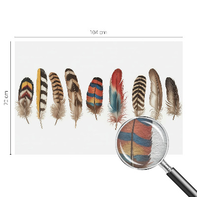 Fototapeta za dnevno sobo Barvito perje