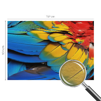 Dekorativna fototapeta Mavrično perje