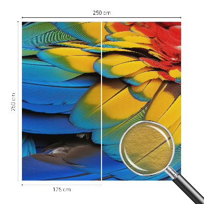 Dekorativna fototapeta Mavrično perje