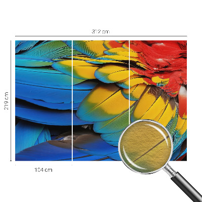 Dekorativna fototapeta Mavrično perje