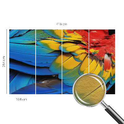 Dekorativna fototapeta Mavrično perje