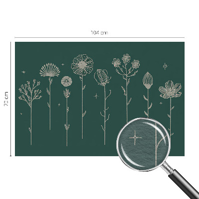 Moderna fototapeta Nežne rože