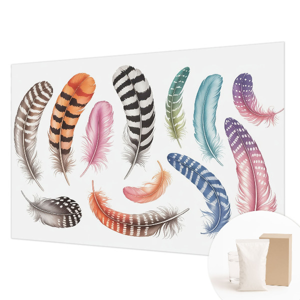 Fototapeta Pastelno perje