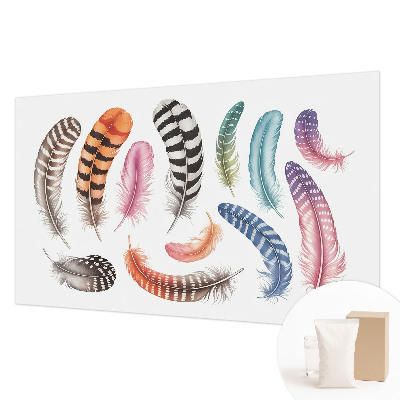 Fototapeta Pastelno perje