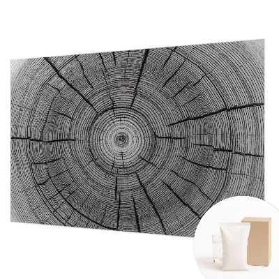 Flis fototapeta Gozdna harmonija