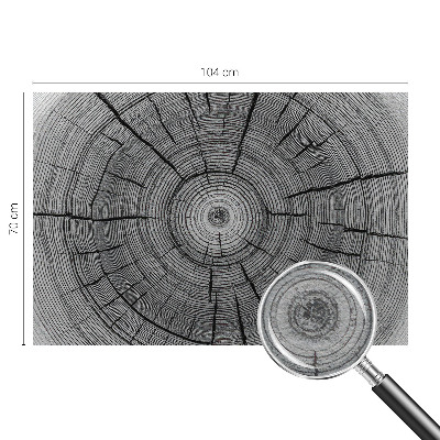 Flis fototapeta z motivom gozdne harmonije